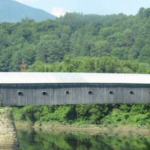 Meet your Posher, Roni